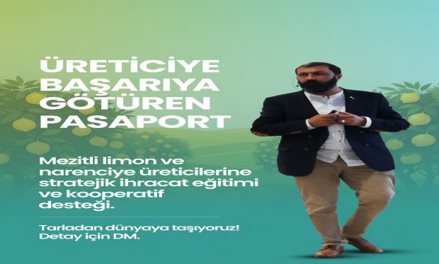 Mezitli İhracat ve Dış Ticaret Ofisi Projesi-Hüseyin YILDIZ